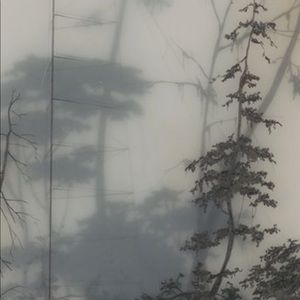 Meet your Posher, Perle